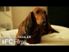 Wiener-Dog - Official Trailer I HD I IFC Films